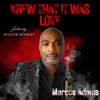 Knew That It Was Love - Single (feat. Walter Beasley) - Single