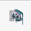 White Roses - Single