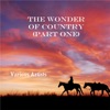The Wonder of Country (Part One), 2019