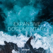 Expansive Documentary artwork
