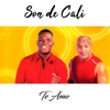 Te Amo - Single