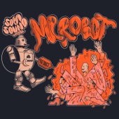 Mr Robot (feat. Aioli) artwork