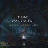 Seven Lions - Don't Wanna Fall