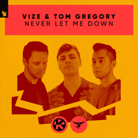 Never Let Me Down - VIZE & Tom Gregory