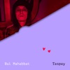 Bul Mahabbat - Single