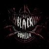 Black Dahlia - Single