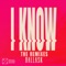 I Know (DLMT Remix) artwork