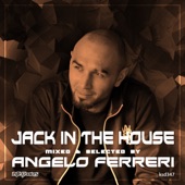 Jack In the House (DJ Mix) artwork