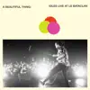 A Beautiful Thing: IDLES Live at Le Bataclan album lyrics, reviews, download