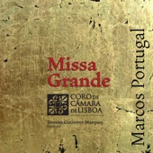 Missa Grande, P 01.09 V2: VII. Domine Deus artwork