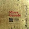 Missa Grande, P 01.09 V2: VII. Domine Deus artwork