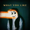 What You Like (feat. Flipp Dinero) - Single album lyrics, reviews, download