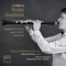 Clarinet Concerto: I. Vivo saltando artwork