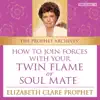 How to Join Forces with Your Twin Flame or Soul Mate album lyrics, reviews, download