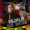 Déjalo Que Entre (Remix) [feat. Jerry] - Single album lyrics, reviews, download