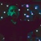 C.T.M.C. (feat. Radcliff Music & Mirrado) - RhymSter lyrics
