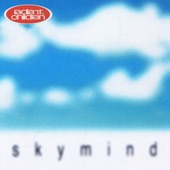 Sky Mind artwork