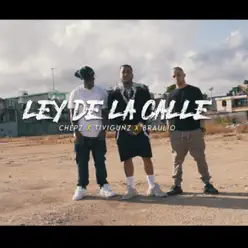 Ley de la Calle - Single - Braulio Ley de la Calle - Single - Braulio