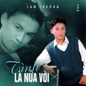 Tình Là Nửa Vời artwork