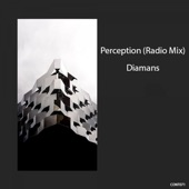 Perception (Radio Mix) artwork