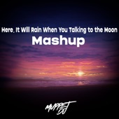 Here, It Will Rain When You Talking To The Moon (Remix) artwork