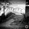 The Ambient Files, Pt. 2 (Mixed by Stars Over Foy)