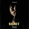 The Secret - Single album lyrics, reviews, download