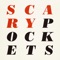 Make You Feel My Love (feat. David Simmons Jr.) - Scary Pockets lyrics