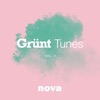 Grünt Tunes, Vol. II