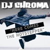 Here Comes the Hotstepper - Single