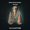 Vadim Bonkrashkov - The Space Between Us