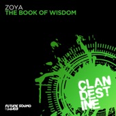 The Book of Wisdom (Extended Mix) artwork