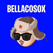 Bellacosox artwork