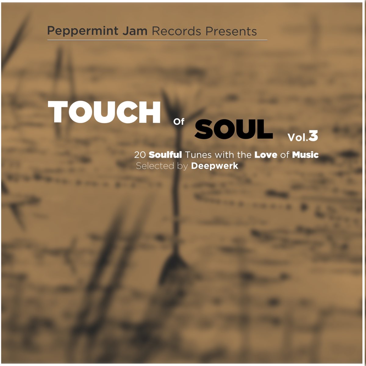 Rock funk tune soul. Touch of the Soul. Touch the Soul 0.4. Touch my Soul Vol CD. Touch mu Soul Vol 7.