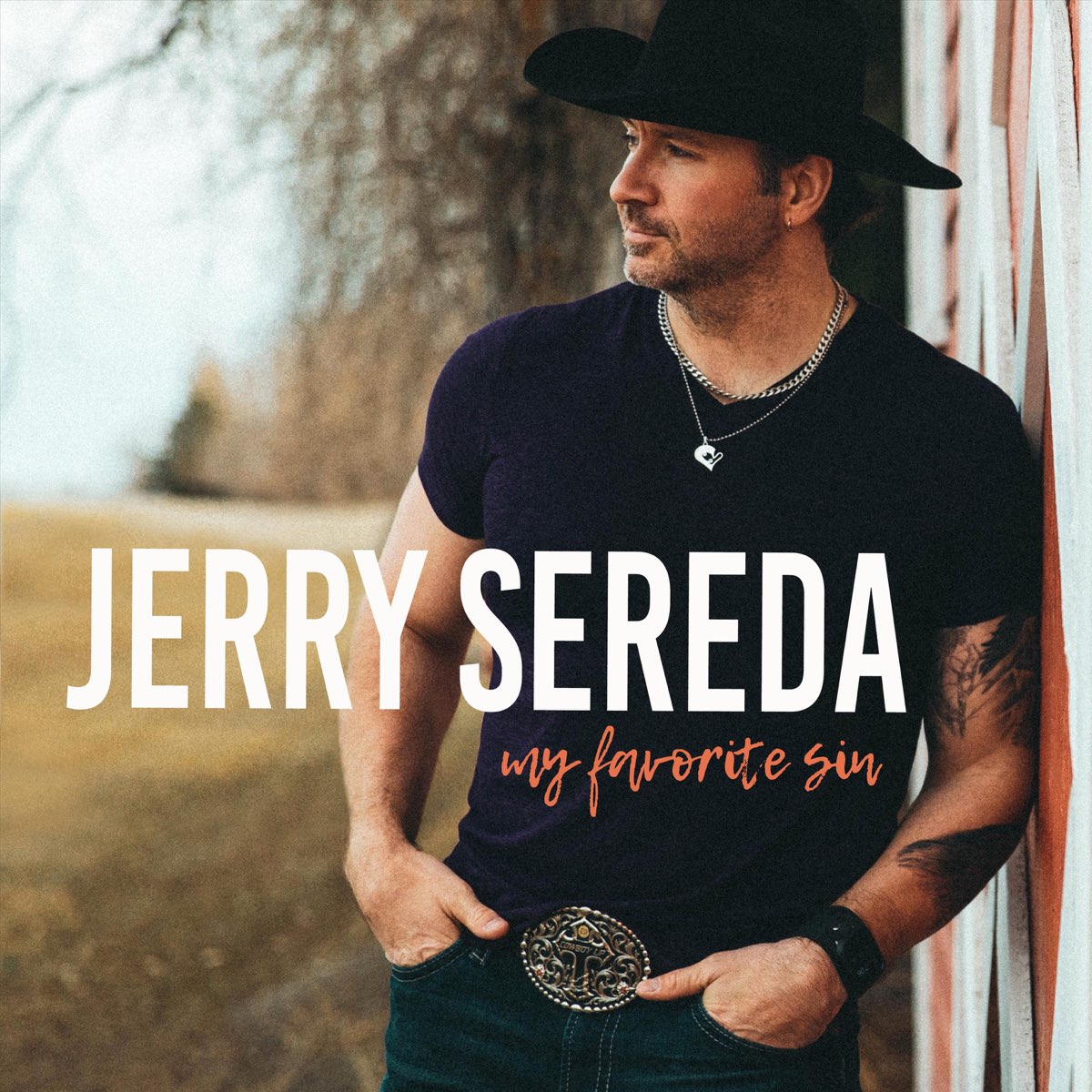 ‎My Favorite Sin - Single By Jerry Sereda On Apple Music