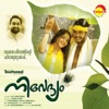 Vijay Yesudas - Kolakuzhal