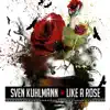 Like a Rose (Club Mix) song lyrics