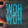 Woh Woh by Pascal & Ziko iTunes Track 1