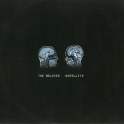 Satellite - The Beloved