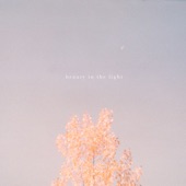 Hollow Coves - Beauty in the Light