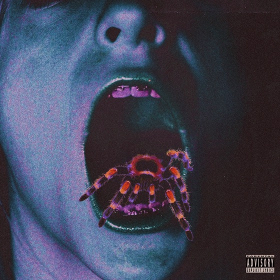 Cover artwork for Tarantula