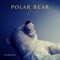 Polar Bear (feat. Music Is Love) - Massimo Kyo Di Nocera lyrics