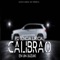 Calibrao en un Suzuki - Potencia Lirical lyrics