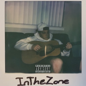 In the Zone - Single