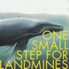 One Small Step for Landmines