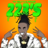 223's (feat. 9lokknine) by YNW Melly