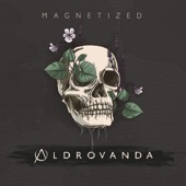 Magnetized artwork