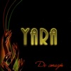 Yara - Presente y Futuro