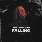 Falling (Cover) artwork