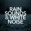 Rain Sounds & White Noise album lyrics, reviews, download